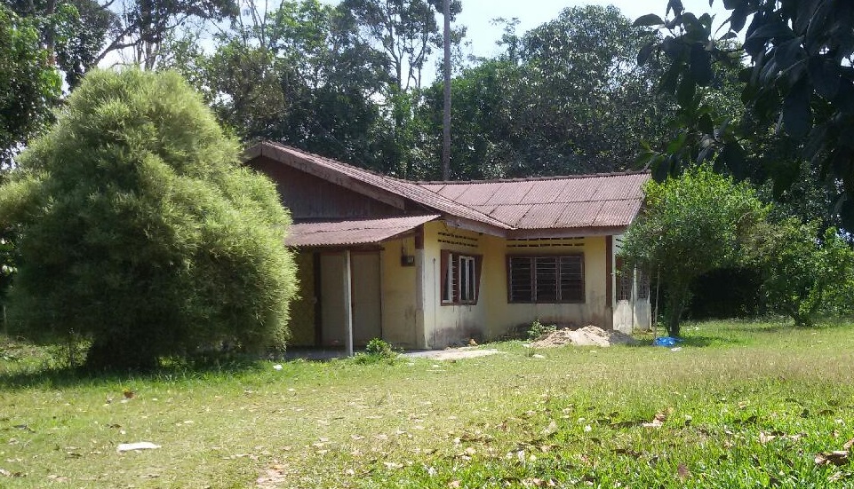 Pic 1